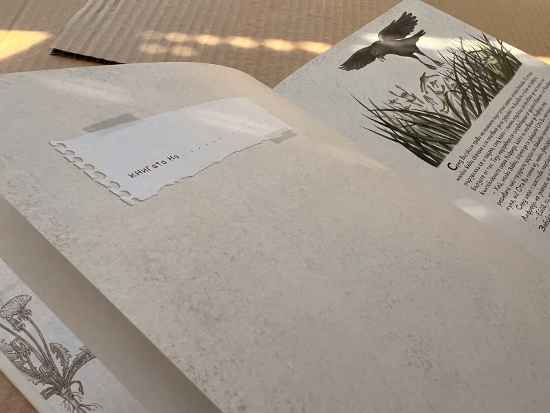 детска книжка бети и лети защитени видове