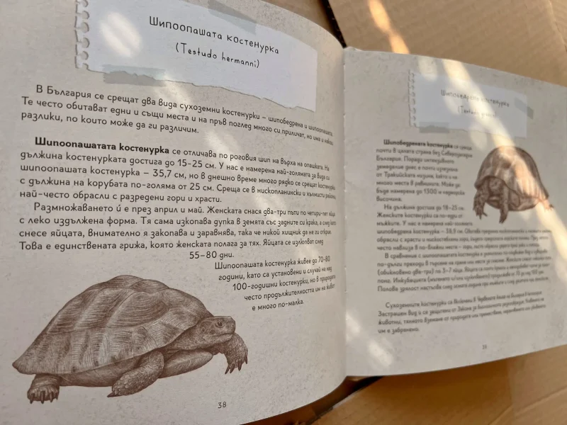детска книжка бети и лети български автор